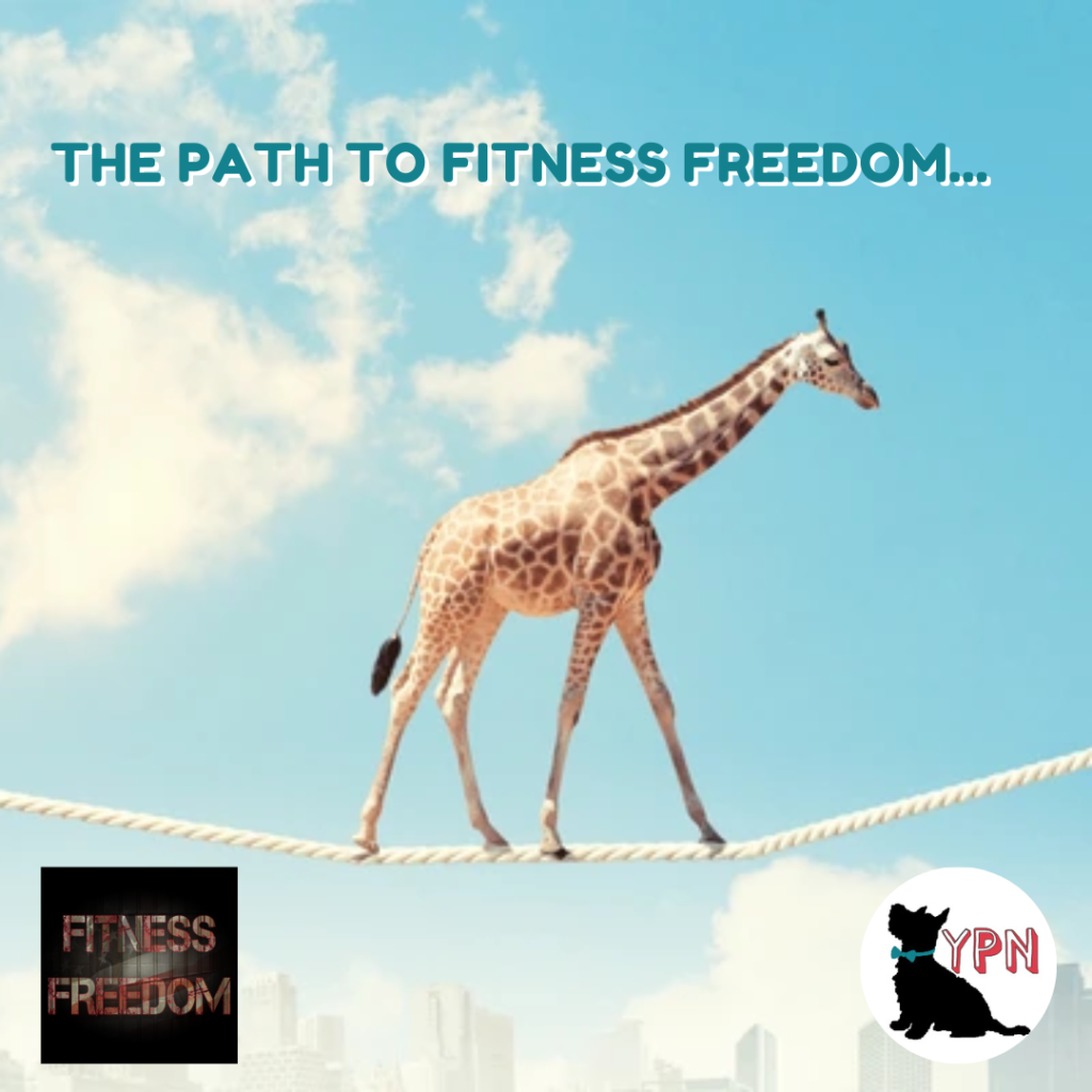 self promo fitness freedom (6)