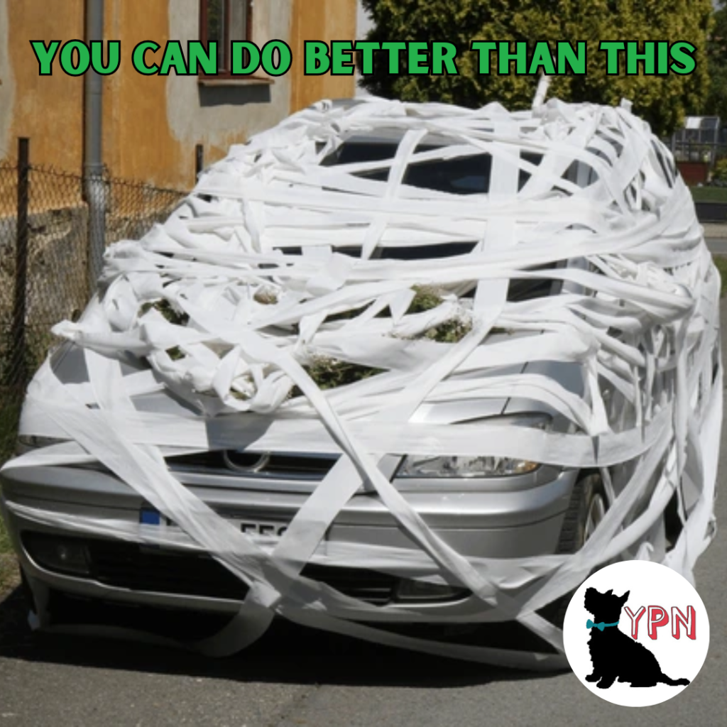 ypn affiliate marketing car covers (1)